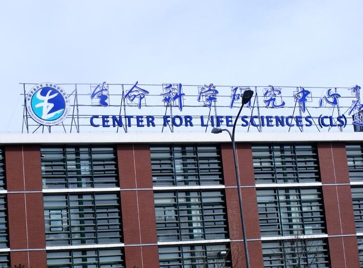 樓頂大字制作，樓體發光字制作